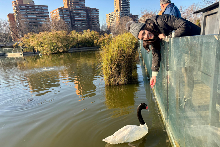 Discover Santiago Half Day Guided Tour Included Local Snack