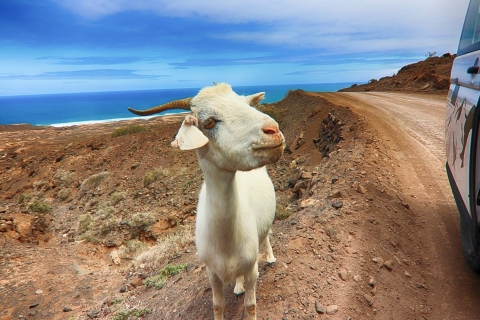 Fuerteventura: Offroad-Safari-TourFuerteventura: Offroad-Safari-Tour - Abholung nördlich der Insel