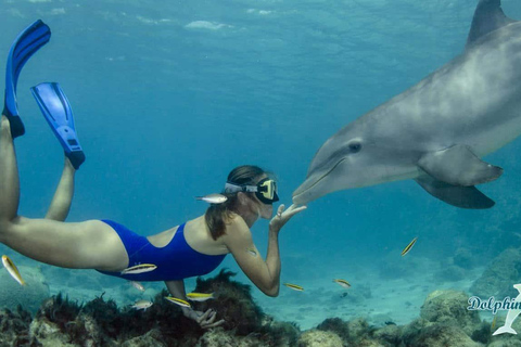 Wyspa Mnemba: półdniowa wycieczka łodzią z pływaniem z delfinami i nurkowaniem z rurkąPrywatna wyspa Mnemba – nurkowanie z rurką i pływanie z delfinami