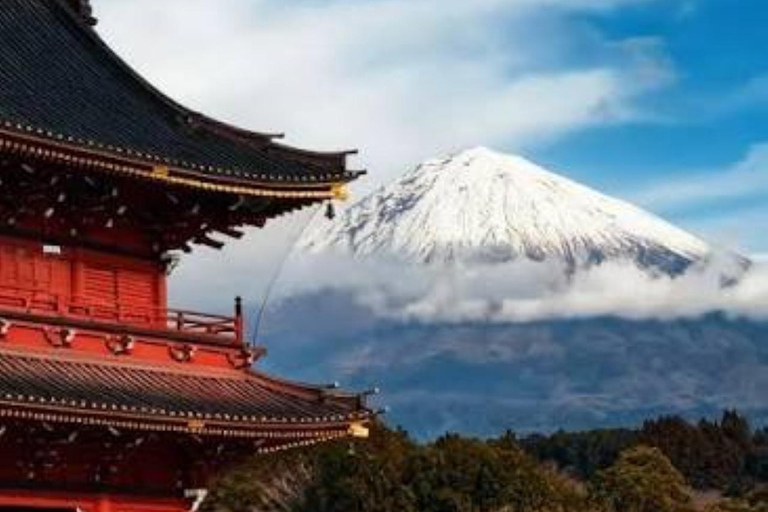 From Tokyo: Mt. Fuji & Hakone Private Scenic Day Tour