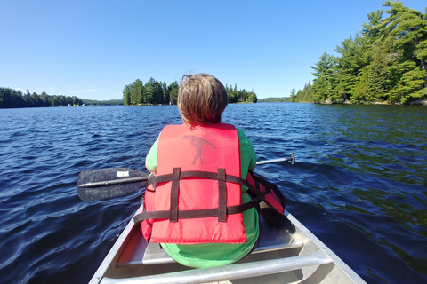 From Toronto: Algonquin Park Canoeing & Hiking Adventure