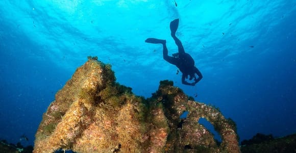 Double Dive the Azores, in the middle of the Atlantic Ocean