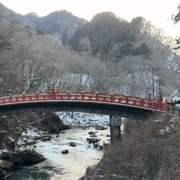 From Tokyo: Nikko Private Day Tour with Pickup and a Guide