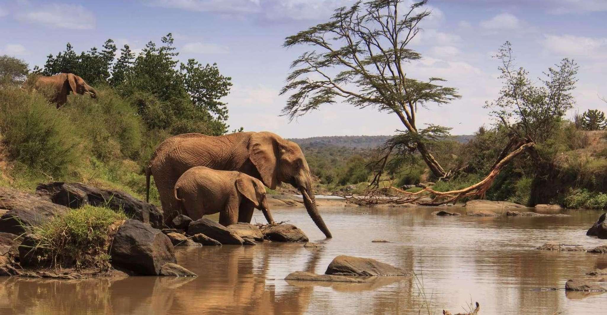 Suitetrails - 4 Days Samburu & Lake Nakuru Safari on 4x4 Land Cruiser Jeep