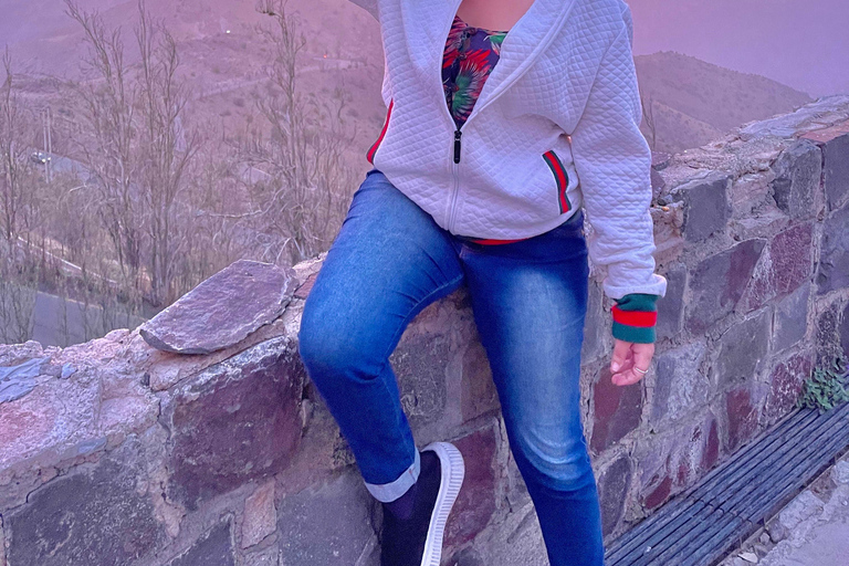 Andes Sunset - Guided Tour from Santiago