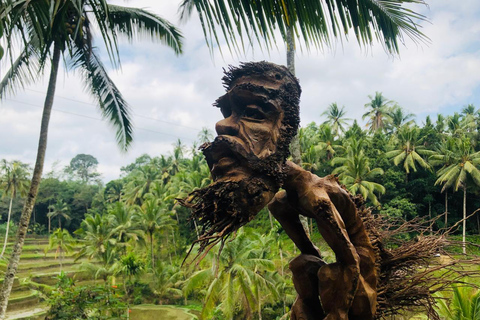Bali: Private Ubud Highlights Tour with Customized Tour Temple, Monkey Forest, Waterfalls, & More (Without Tickets)