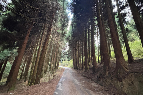Bagdogra: Sandakphu & Phalut Trek with Meals & Guide