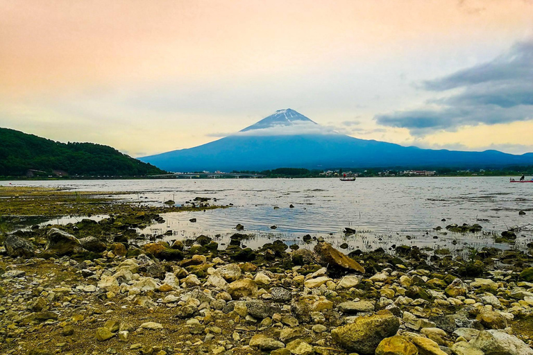 Från Tokyo: Privat guidad dagsutflykt till Fuji-berget