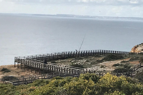 Visite d'une jounée de Lagos et Sagres au départ d'AlbufeiraDepuis Albufeira : Lagos Lagres Tour