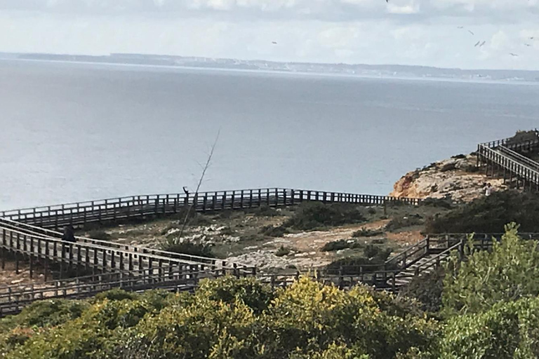 Excursão de 1 dia a Lagos e Sagres saindo de AlbufeiraDe Albufeira: Passeio Lagos Lagres