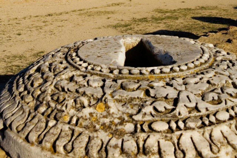 Tunis : Visite de la Médina, de l&#039;amphithéâtre de Carthage et de Sidi Bou Said