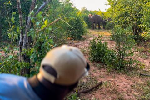 Victoria Falls: Game Walk in the Zambezi National Park Afternoon Game Walk