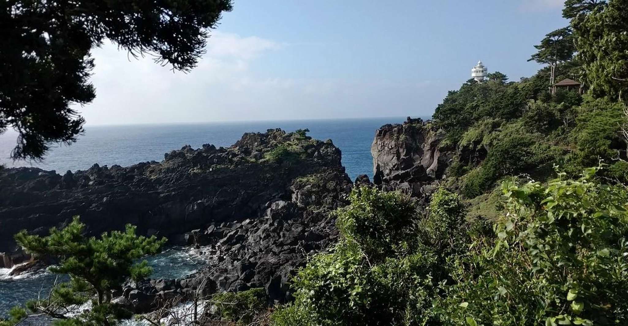Izu Peninsula, Jogasaki Coast Experience - Hizvo