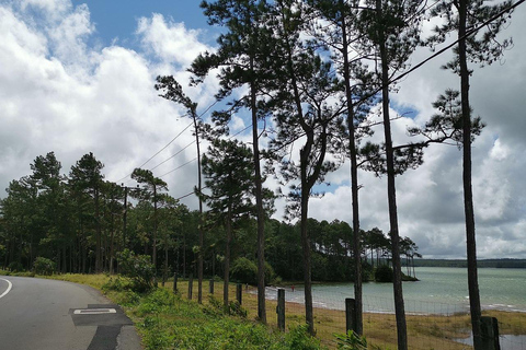 South West Mauritius : Ebony Forest Nature Escape with Lunch Into the Wild South: Ebony Forest Nature Escape with Lunch