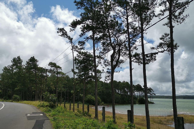 South West Mauritius : Ebony Forest Nature Escape with Lunch Into the Wild South: Ebony Forest Nature Escape with Lunch