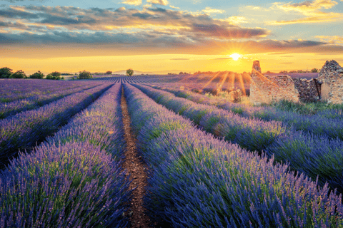 From Aix en Provence : Occitane Factory, Moustiers & Verdon L'Occitane en Provence, Moustiers, and Gorges du Verdon