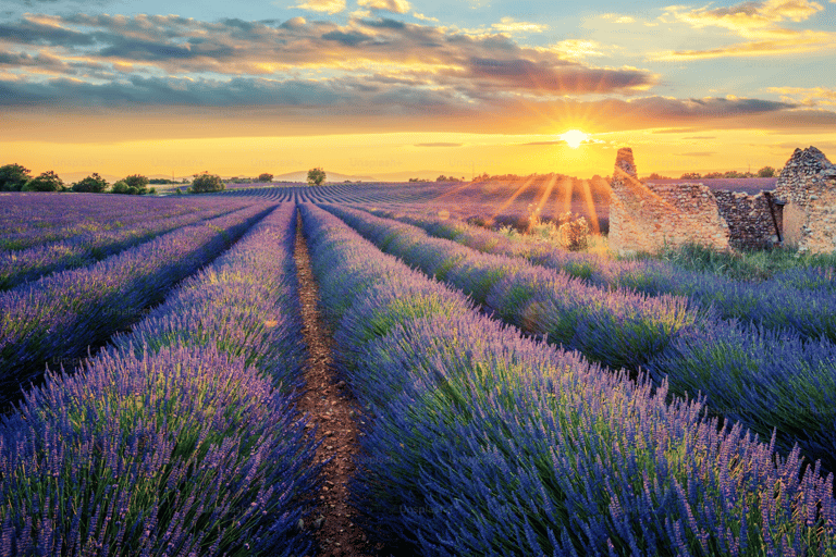 From Aix en Provence : Occitane Factory, Moustiers & Verdon L'Occitane en Provence, Moustiers, and Gorges du Verdon