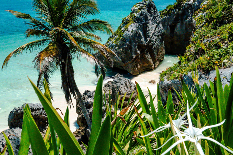 Njut av Tulum, cenoten Casa Tortuga och Playa del Carmen