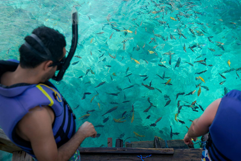 Labuan Bajo: Full-Day Komodo Speedboat Tour with Snorkeling