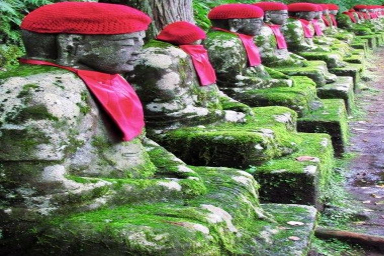 东京出发：日光私人导览之旅含午餐