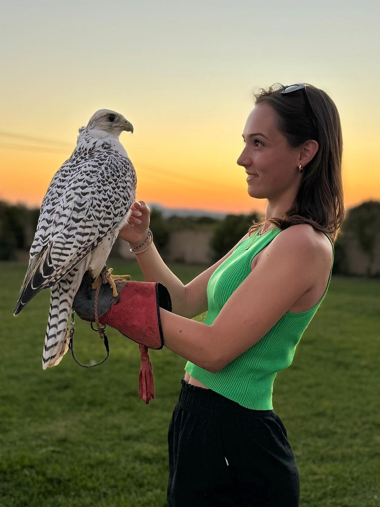 Besuche ein Zuchtzentrum für Falken und Greifvögel auf Mallorca
