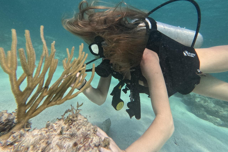 Punta Cana: Discover Scuba Diving Experience for Beginners