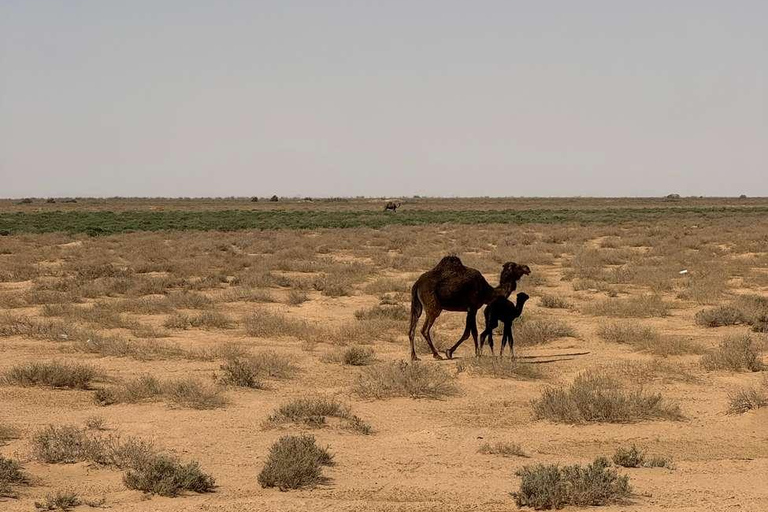 From Kairouan: 2-Day Sahara Tour with Hotel Stay 2-Day Sahara Desert Tour