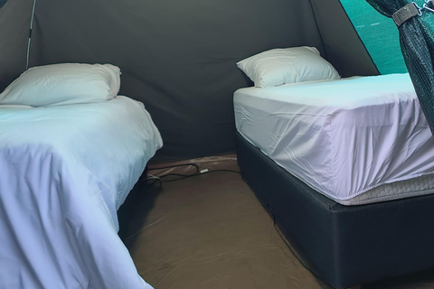 Safari de 4 días en tienda de campaña en Pilanesberg TlouSafari de 4 días en tienda de campaña por Pilanesberg Tlou