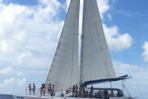 Excursión a Isla Saona desde Punta Cana con almuerzo y bar libre