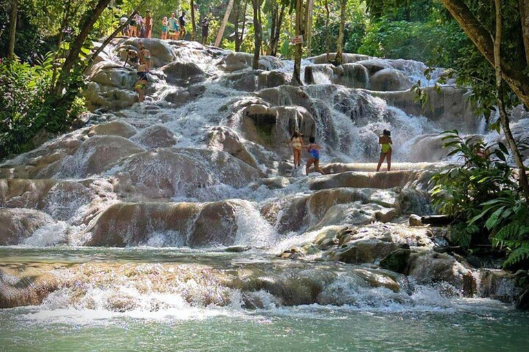 Montego Bay : Visite privée des chutes de la rivière Dunn et du trou bleu