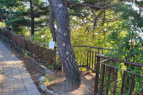 Seoul: Bukaksan Mountain Summit and History Hiking Tour Chinese Guide