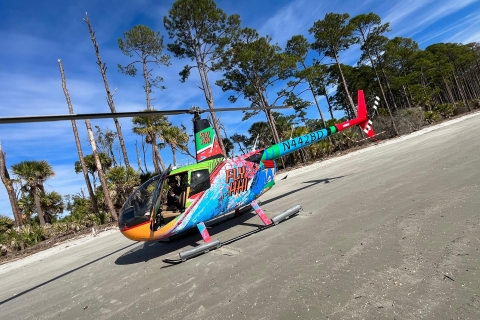Hilton Head Island: tour panorámico en helicópteroVista al mar - 3 minutos