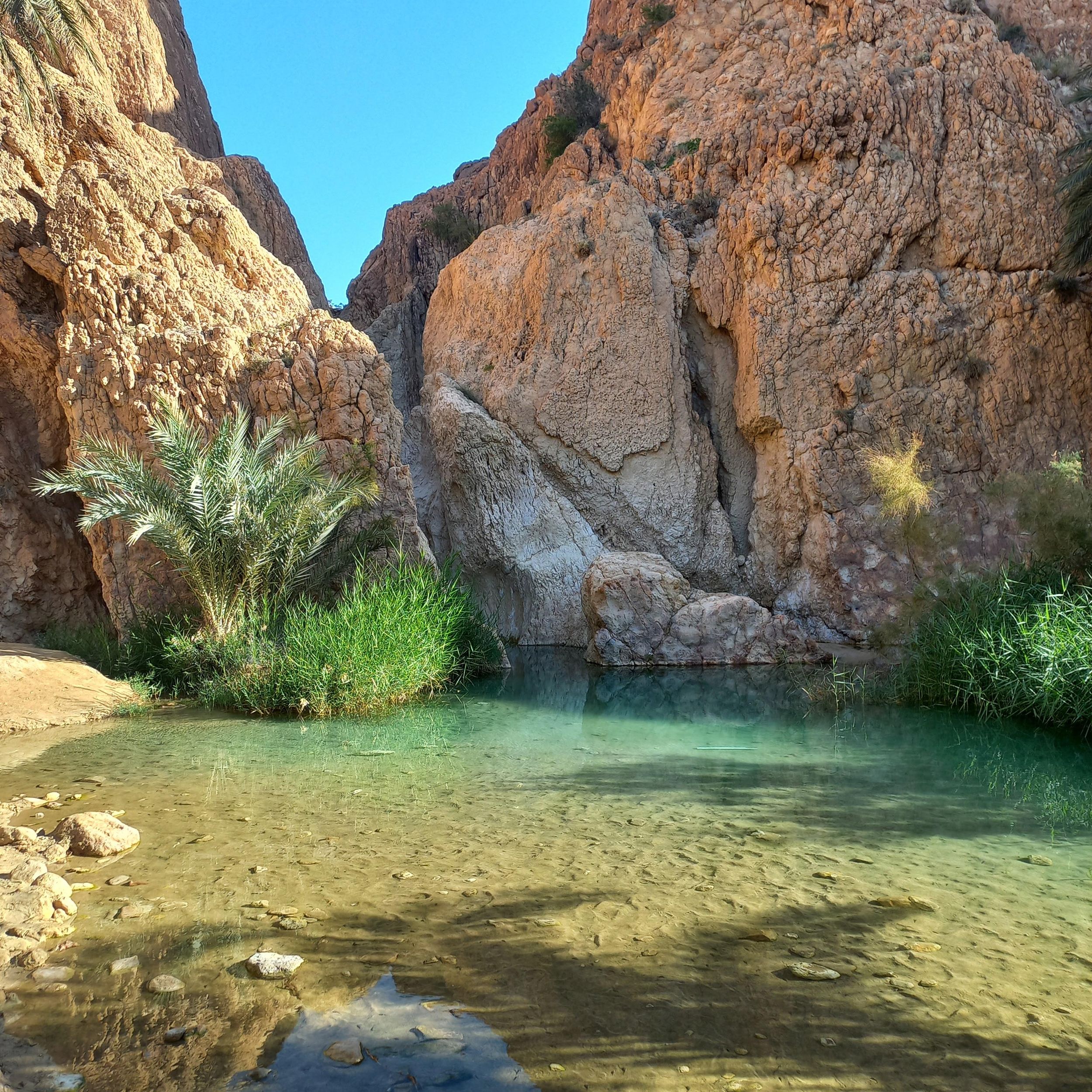 Ab Tunis: 3-tägige unverzichtbare Tour durch die Sahara nach Douz, nach Tozeur und zur Atlas-Schlucht