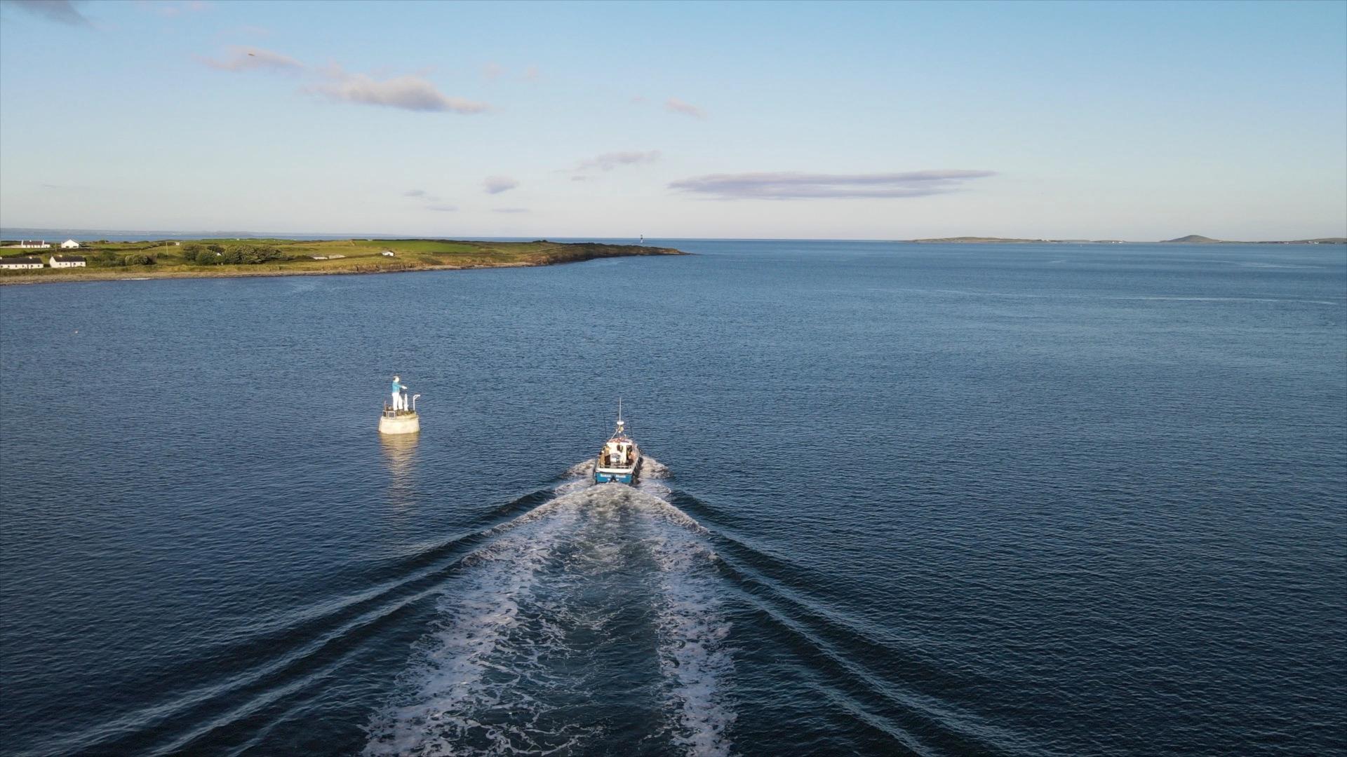 Sligo Bay: Bootsfahrt nach Coney Island mit Besuch der Seebärenkolonie