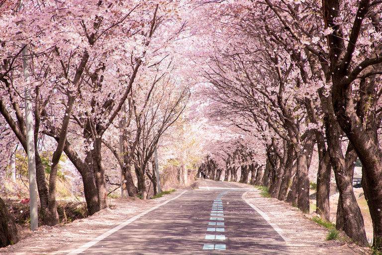From Sapporo: Noboribetsu, Lake Toya, and Niseko Day Trip Shared Tour, Meet at Sapporo Station