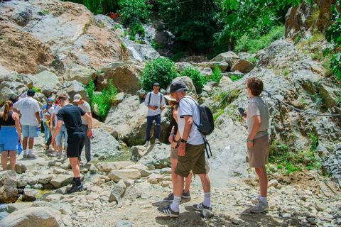 Marraquexe: Cascatas de Ourika, Montanhas Atlas, Guia + AlmoçoMarraquexe: Vale de Ourika com almoço + guia (recomendado)