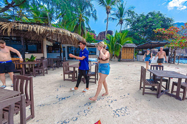 Koh Tao: Snorkel with Turtles at Nangyuan with Fewer Crowds
