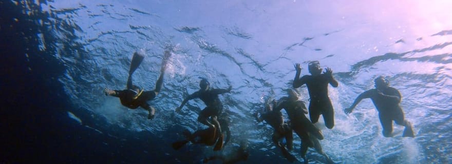 Plongée en bateau avec masque et tuba avec buffet BBQ 4-5 heures