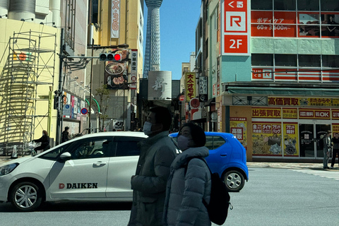 Tokyo Private Sightseeing Tour Customizable with Guide