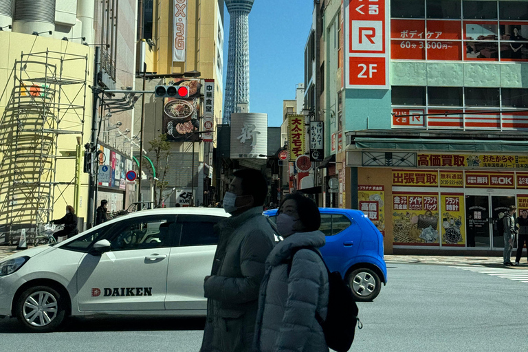 Tokyo Private Sightseeing Tour Customizable with Guide