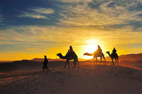 Marrakech: Camel & Quad Bike Tour with Sunset, Dinner & Show