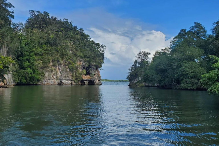 Puerto Plata: Samana, Bacardi Island, and Los Haitises Tour