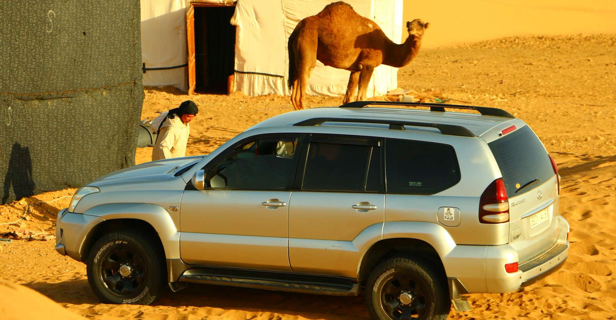 Zagora, Overnight in luxury desert camp with Camel Ride, - Housity