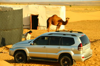 Zagora, pendant la nuit dans un camp de désert de luxe avec une balade à camel, - Housity