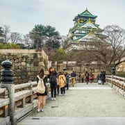 Osaka: 3-Day Kansai Tour to Kyoto & Nara by Private Car