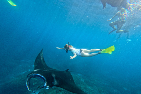 From Bali: Manta Point Snorkeling 3-Spots + Lunch & Pickup