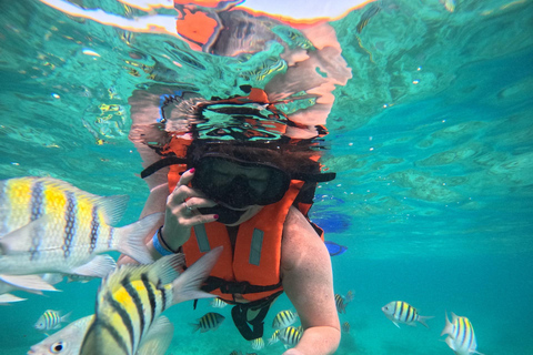 Isla Mujeres: Snorkel tour in 3 spots, Underwater Museum, and reefs! Isla Mujeres: Snorkeling tour in 3 spots, Underwater Museum and reefs!