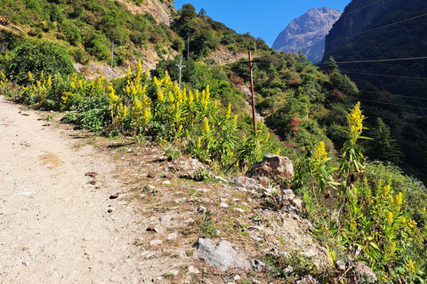 Valle del Tsum: Trekking de 16 días