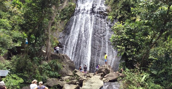 San Juan: El Yunque Rainforest Guided Tour