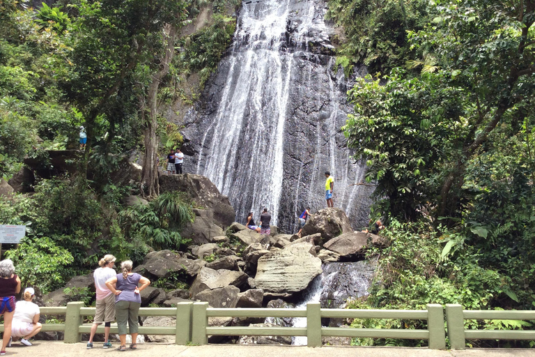 San Juan: El Yunque Rainforest Guided Tour